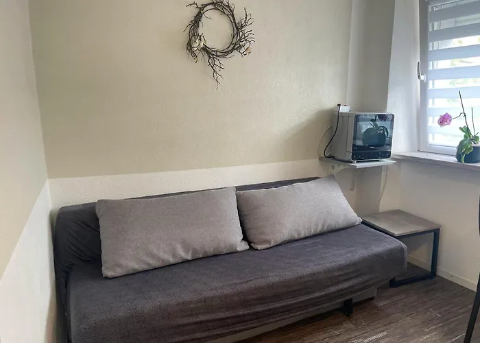 Bina 公寓 特里尔